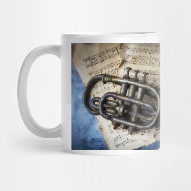 Old Weathered Horn On Sheet Music by photogarry